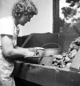 Woman shucking oysters in Apalachicola Florida 1956